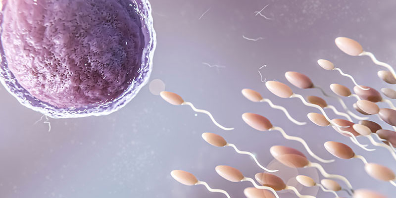 Test Pap – Thin Prep – HPV DNA Test